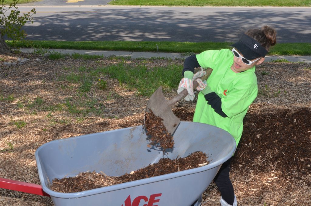 Shoveling Mulch--Montgomery resident Cameron Garza shoveled mulch for an Aurora community garden Sunday, May 15. Garza was among 40 volunteers from Wesley United Methodist Church in Aurora who participated in a ninth annual Change the World effort. Other volunteers sewed school bags, stocked shelves at Marie Wilkinson food pantry in Aurora and picked litter at Greene Field and May Street parks in Aurora. (Al Benson photo)