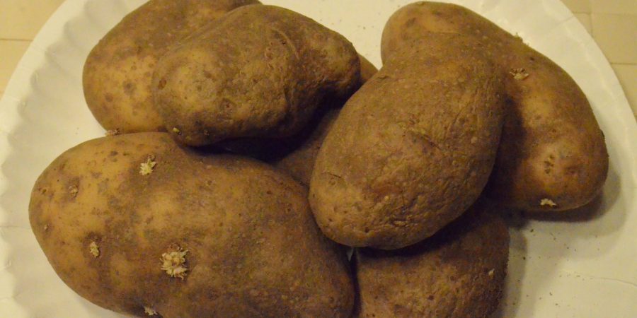 spuds for area pantries