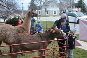 Animals at Geneva UMC Live Nativity