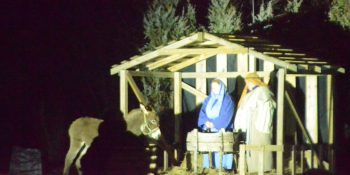 Live Nativity at Faith Lutheran Church 2020