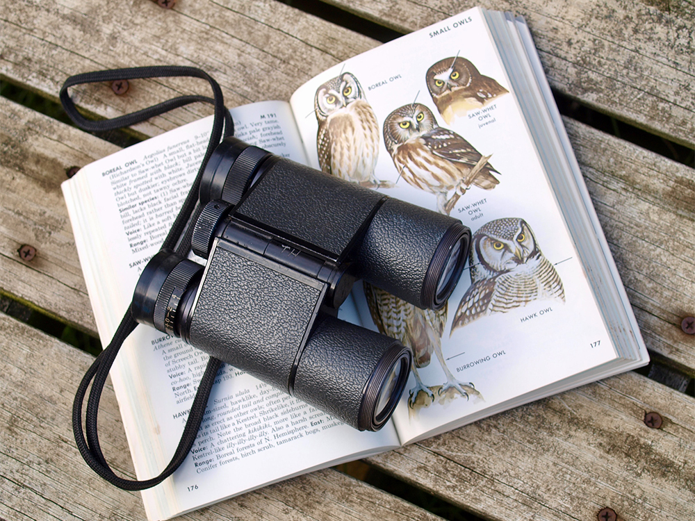 Bird book helps birdwatchers