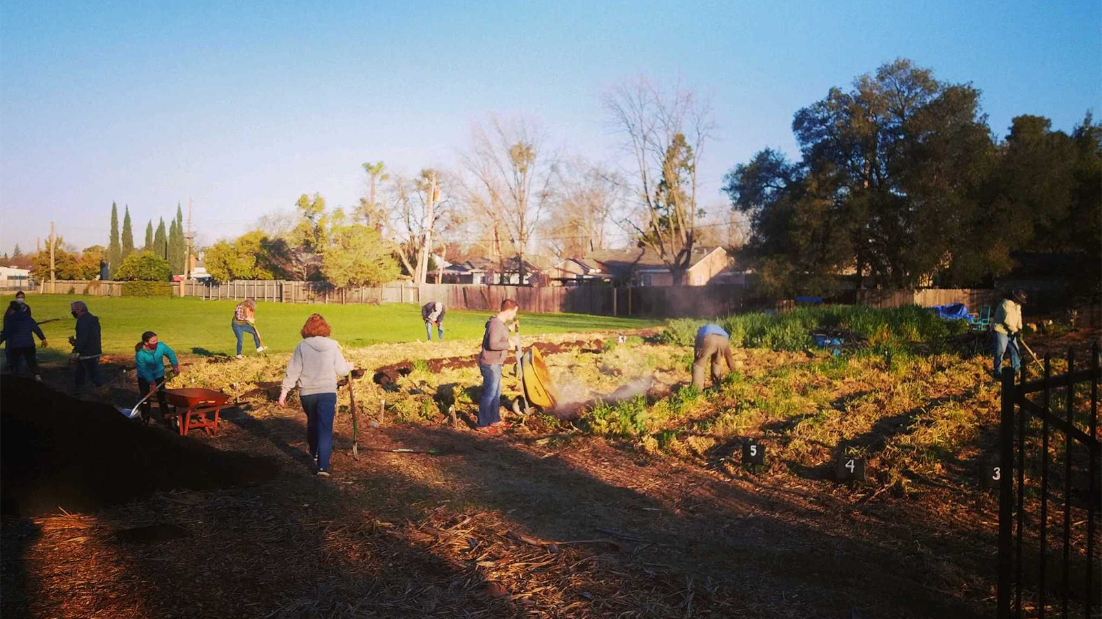 Community gardens help food pantries
