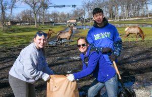 One of the community-service projects at Phillips Park.